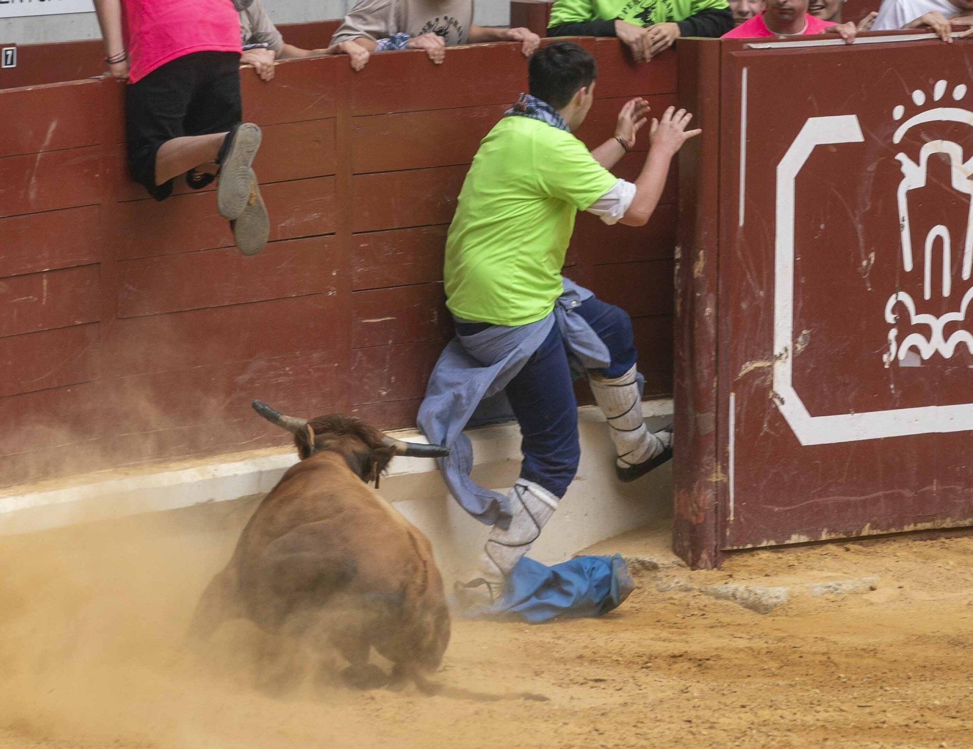 Eb imágenes: Las vaquillas reinan en el Iradier Arena