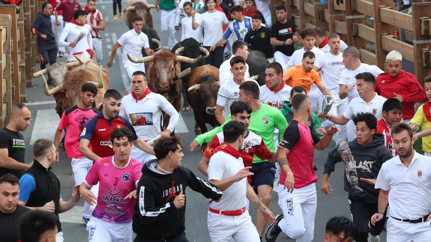 Encierro tranquilo y rápido para empezar las fiestas de Tudela 2025