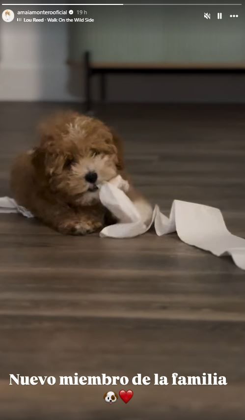 Amaia Montero comparte un vídeo de su perro