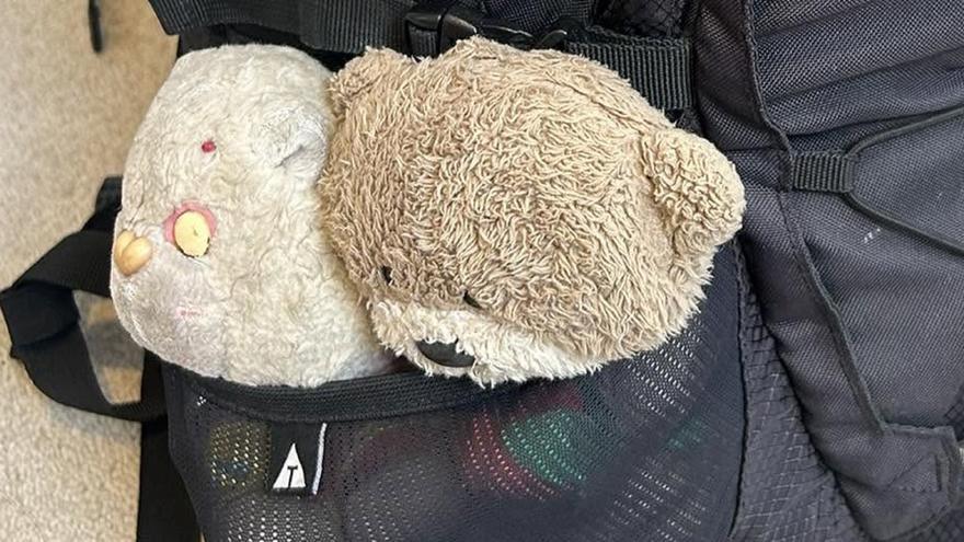 Le roban en la playa de La Concha, pero solo quiere recuperar un objeto: su osito de peluche de 42 años