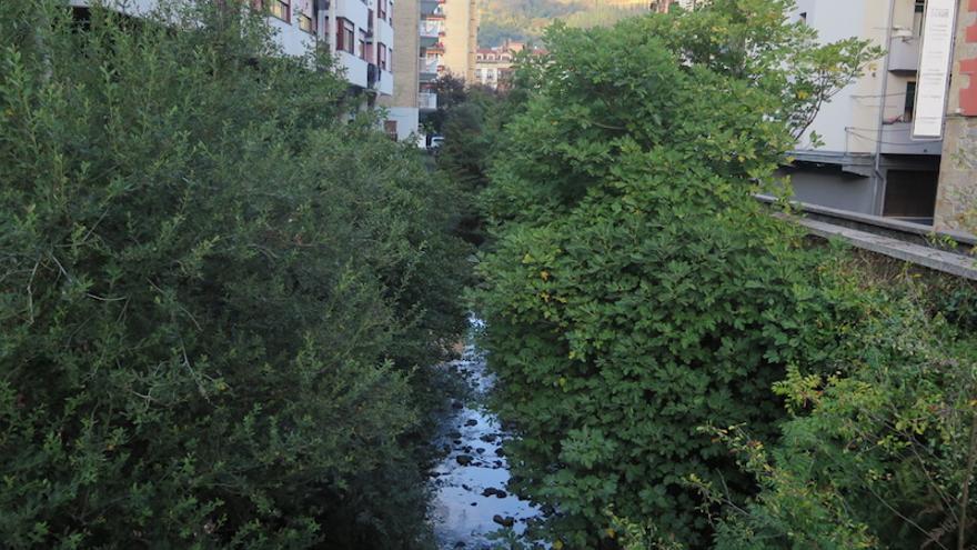 La vegetación sepulta el río Urola a su paso por Urretxu y Zumarraga