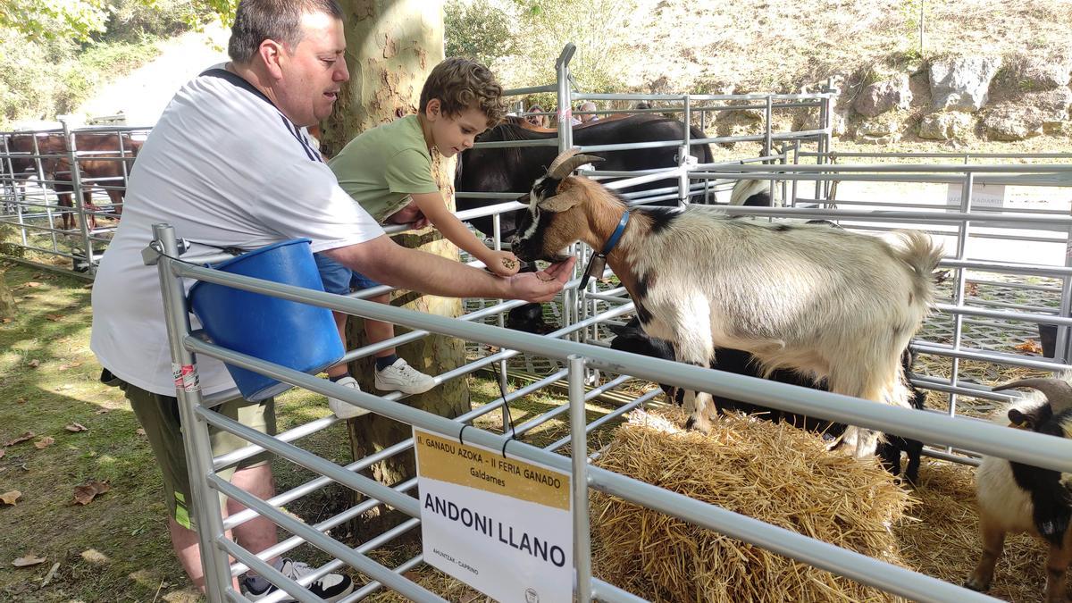 Eneko, de 3 años, alimentó a las cabras en el recinto habilitado en el área de aparcamiento.