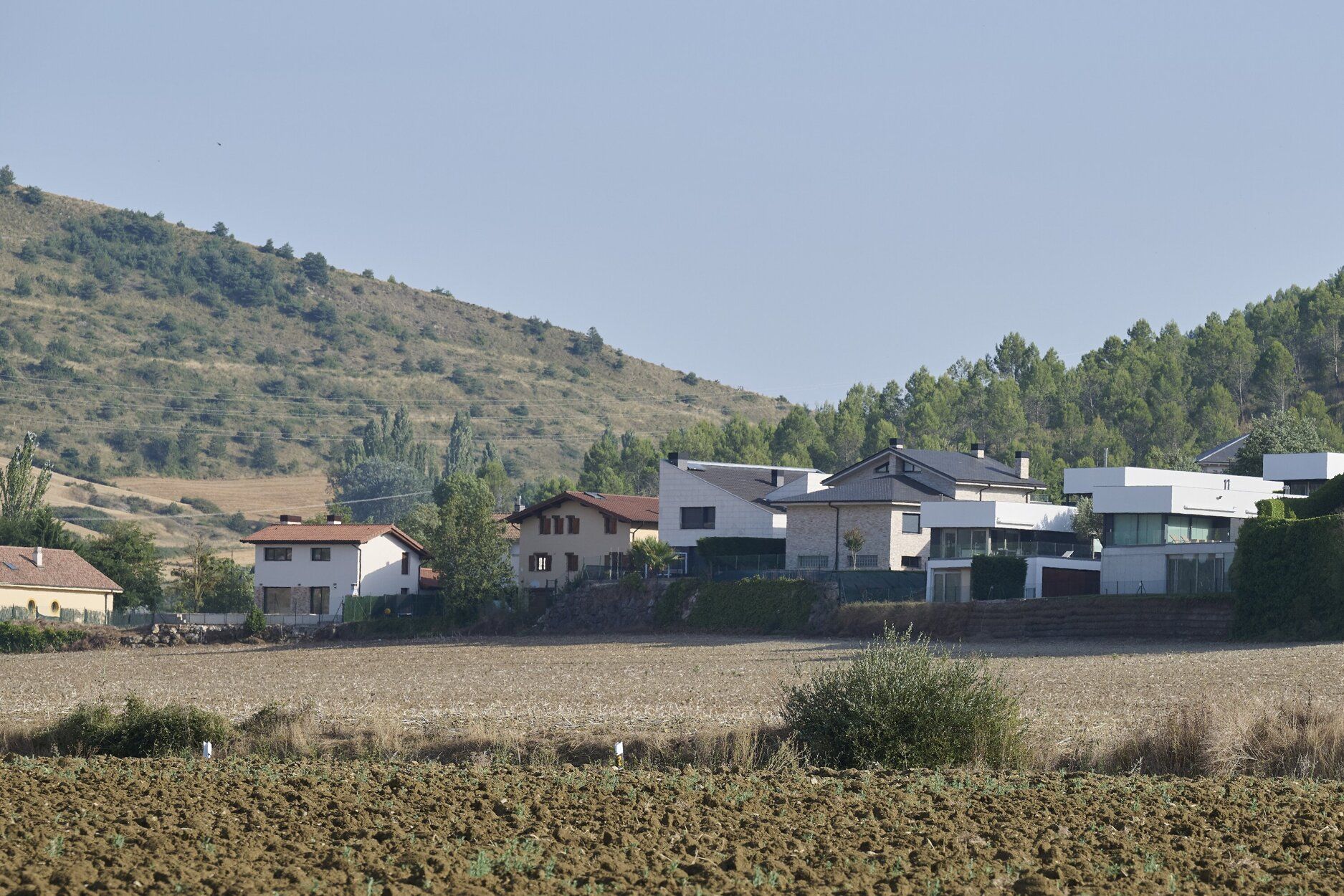 Campos de colza aledaños a los chalés de Gorraiz que sufren la plaga de chinches.