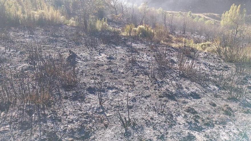 Extinguido un incendio de monte bajo en Ardanaz de Izagaondoa