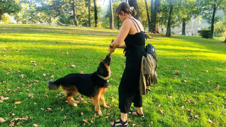 La Real Sociedad Canina de España propone una regulación para evitar la cría clandestina