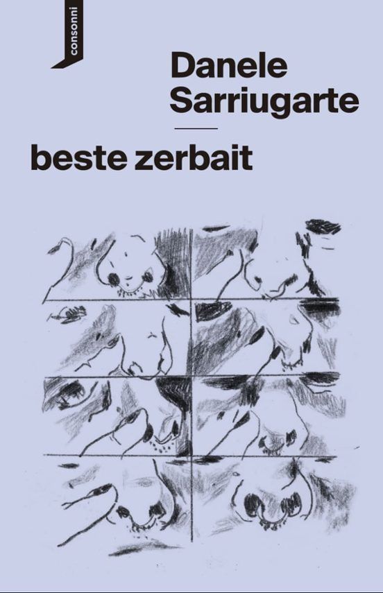La novela autobiográfica de Danele Sarriugarte.
