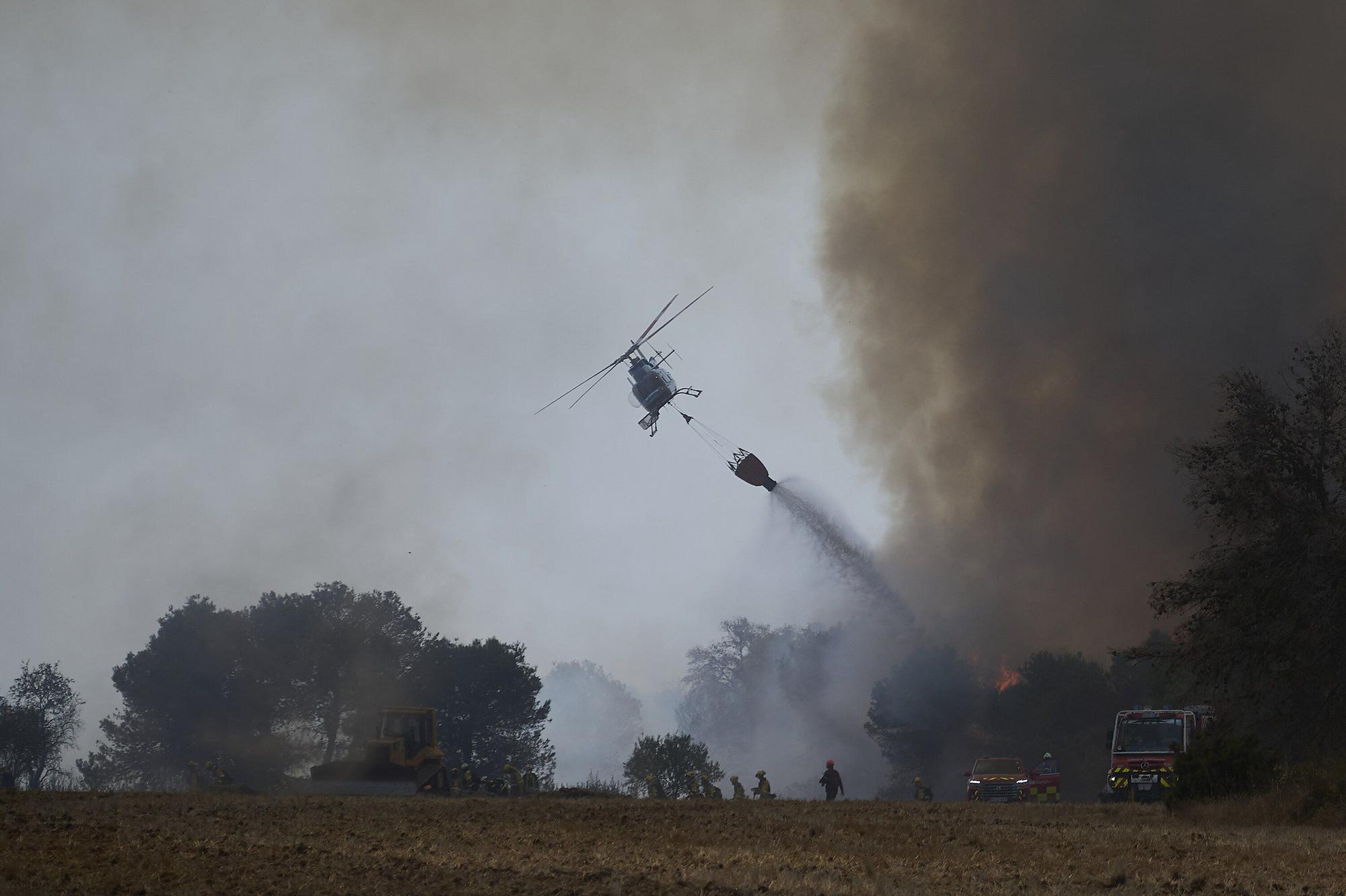 Fotos del incendio forestal cerca de Carcastillo