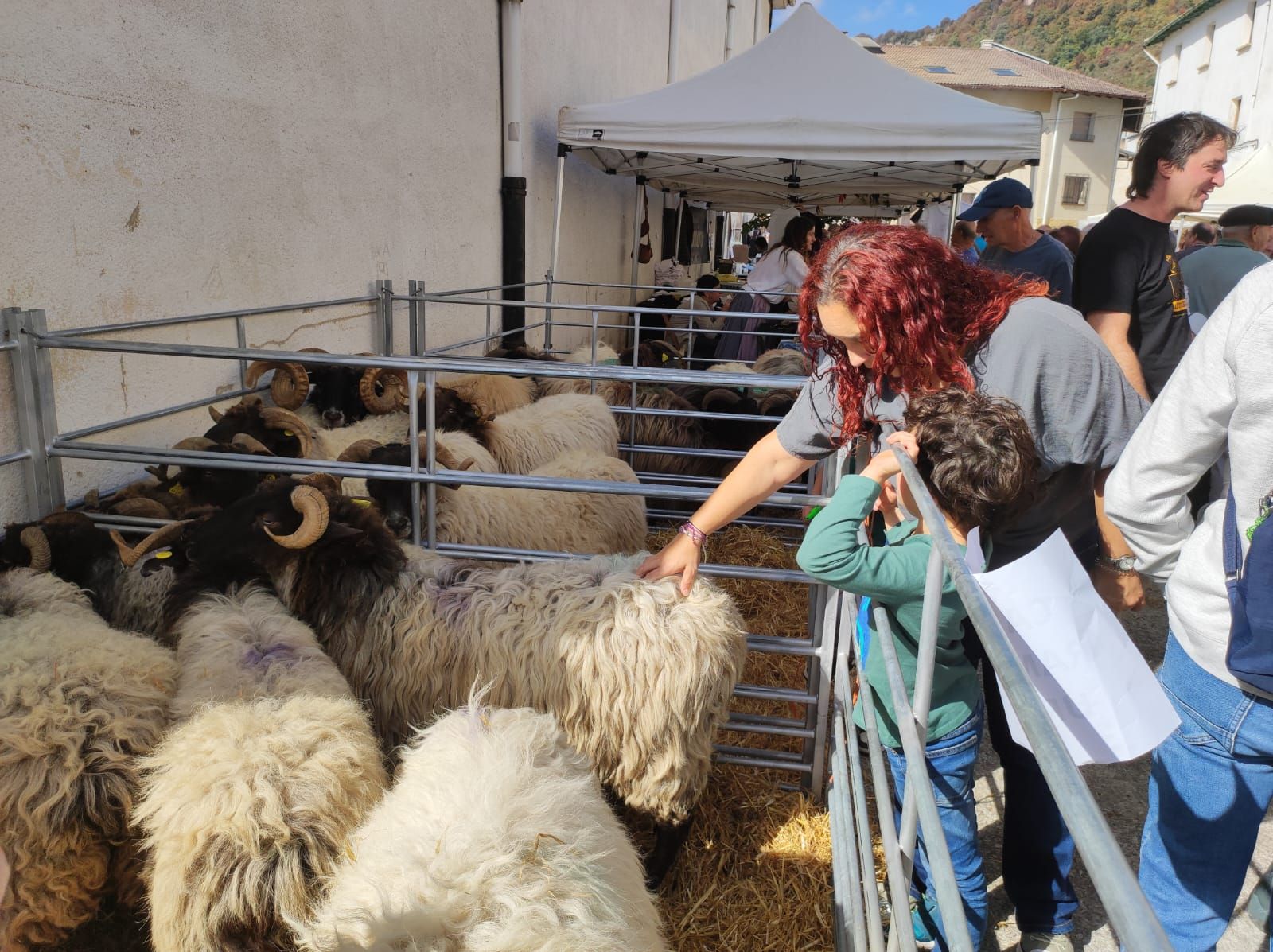 Fotos del Día del pastor en Améscoa