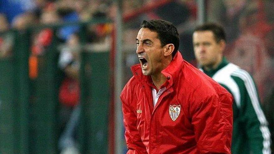 Archivada la causa contra el exentrenador del Sevilla Manuel Jiménez