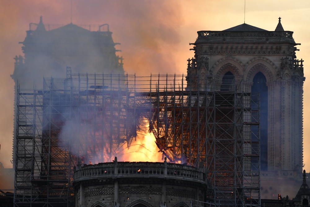 Notre Dame comienza a renacer tres años después del incendio