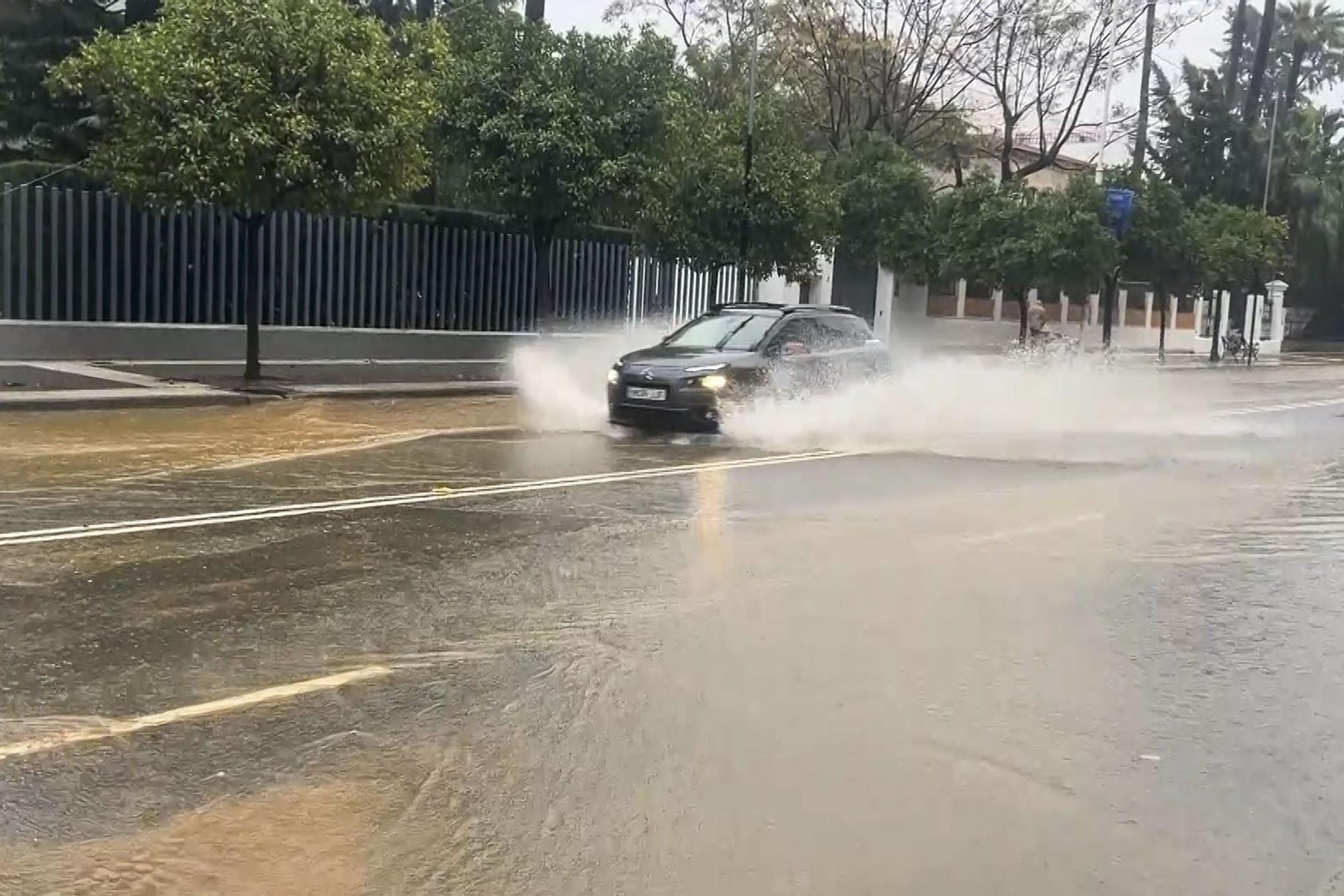 En imágenes: Andalucía supera las 900 incidencias por la borrasca 'Claudia', con la anegación de la estación de autobuses de Huelva