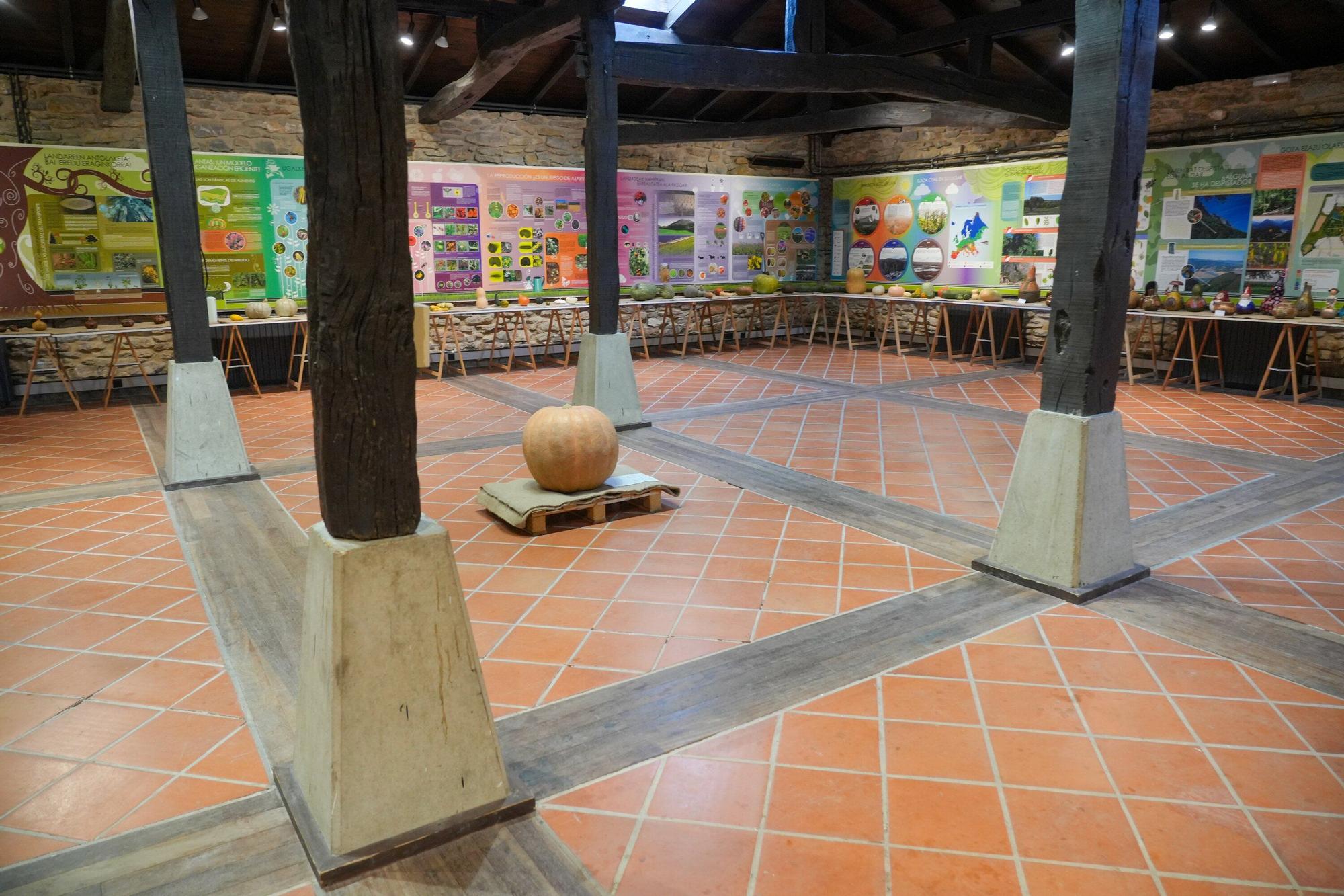 En imágenes: Exposición de calabazas en la Casa de la Dehesa