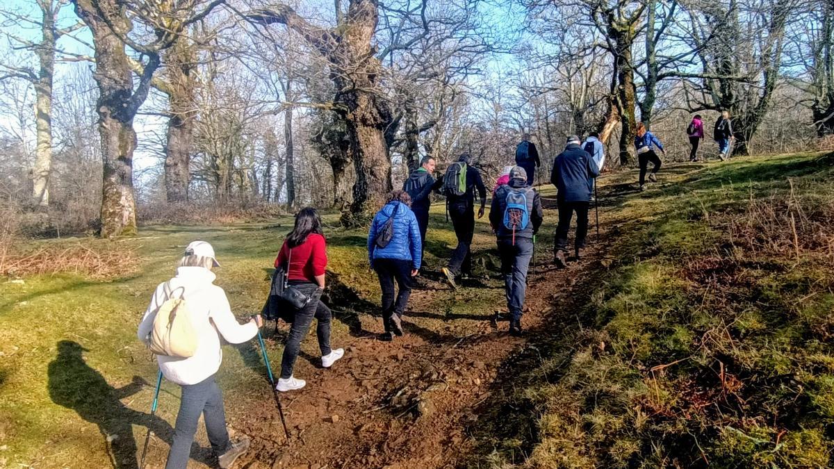 En Solaslaguna se dan paseos por el monte