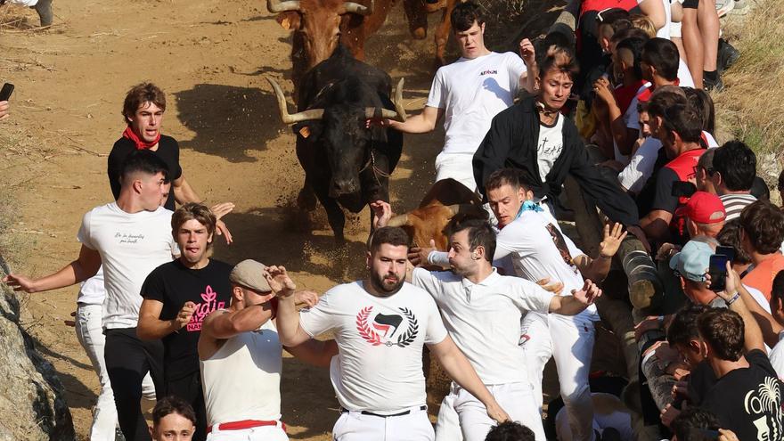 Fotos del segundo encierro de El Pilón en fiestas de Falces 2026