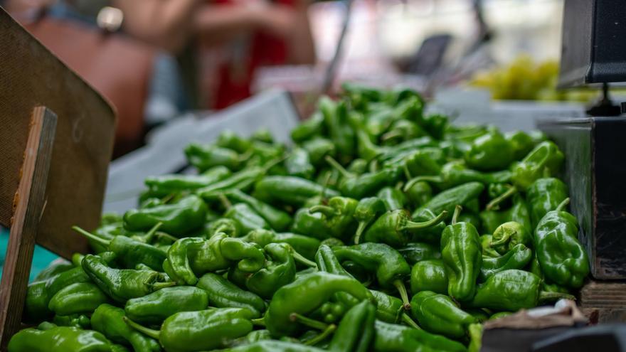 Seis productores de Busturialdea participarán en la feria del pimiento de Gernika este sábado
