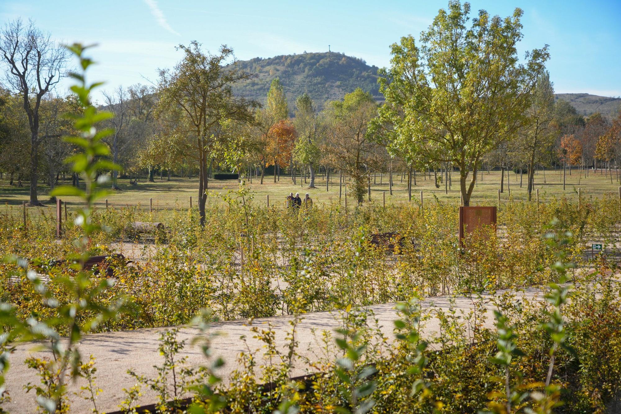 En imágenes: Inauguración del nuevo laberinto vegetal de Olarizu