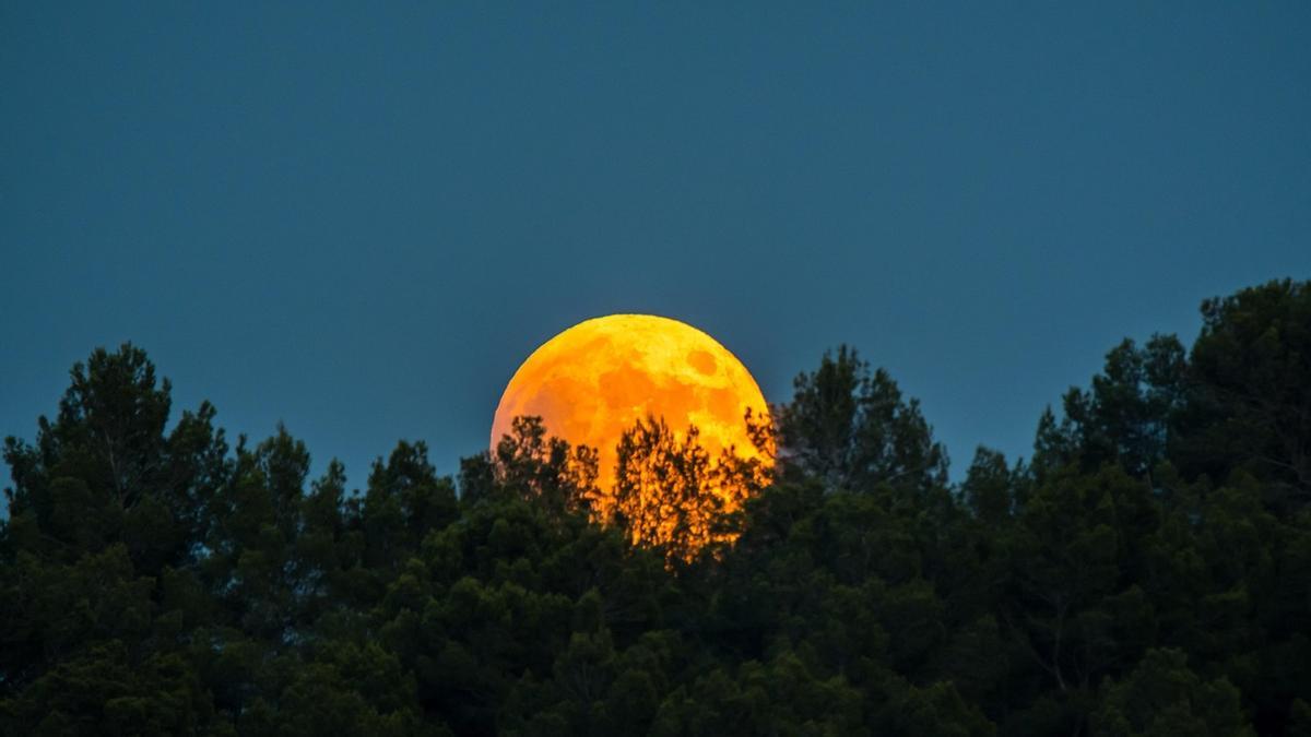 Luna de Maíz.
