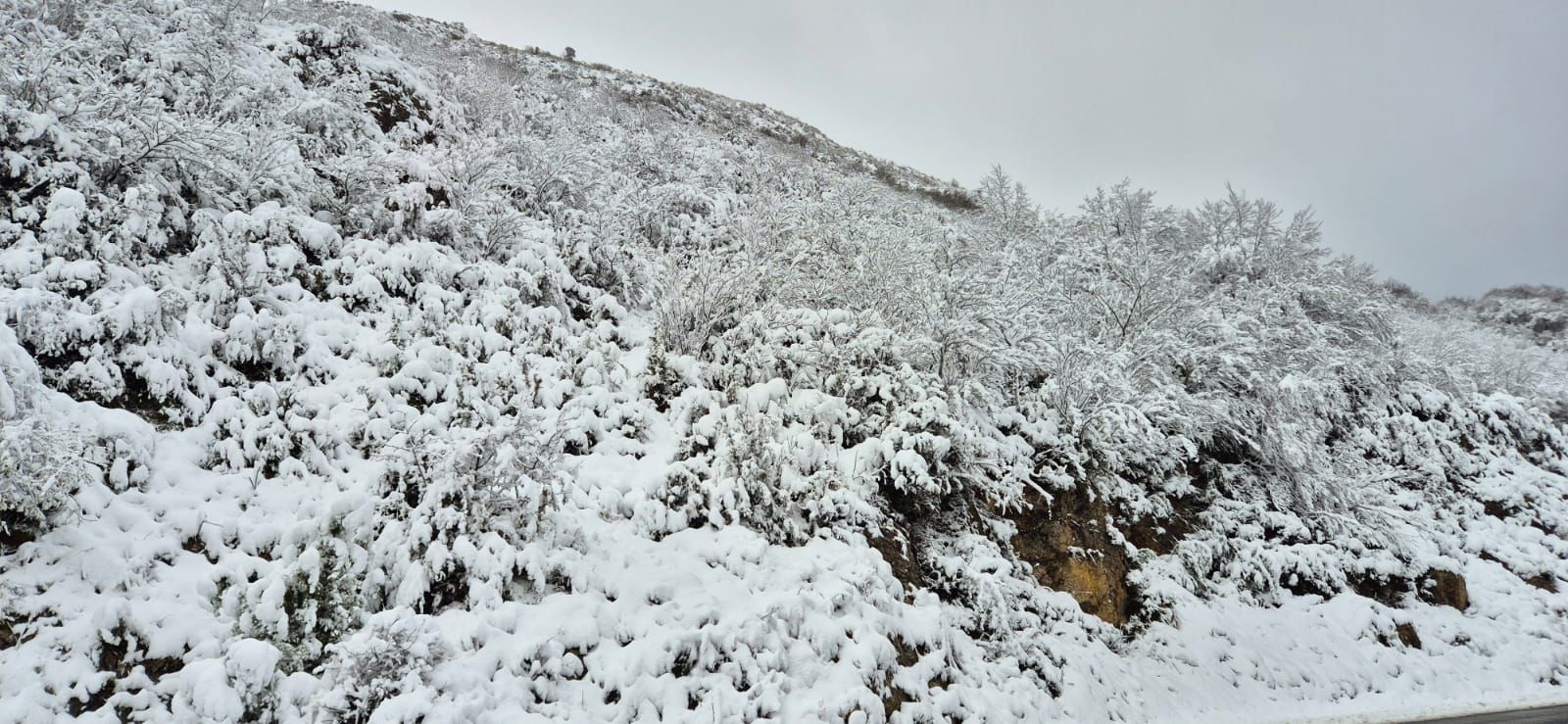 La nieve regala una preciosa estampa en Bernedo