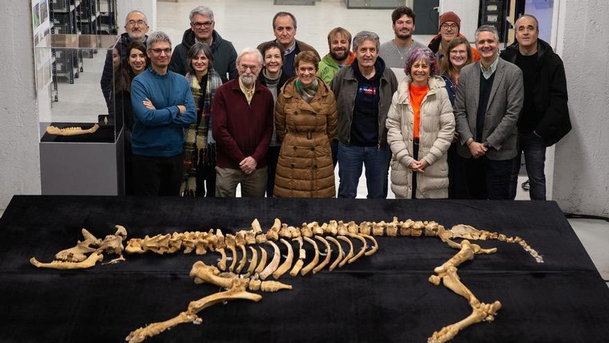 Hallado el esqueleto de un bisonte de hace 4.000 años en una sima en Urbasa: "Es un descubrimiento excepcional"