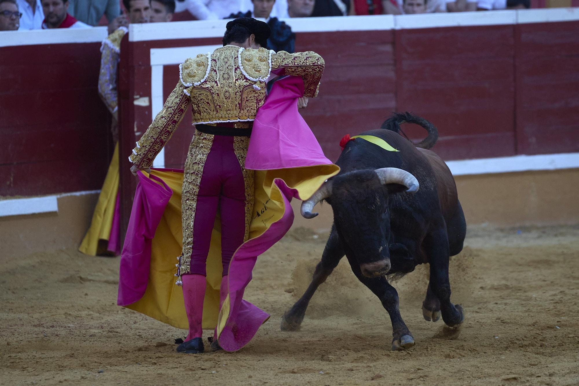 Fotos de la corrida de toros en Tudela con toros de Garzón Valdenebro