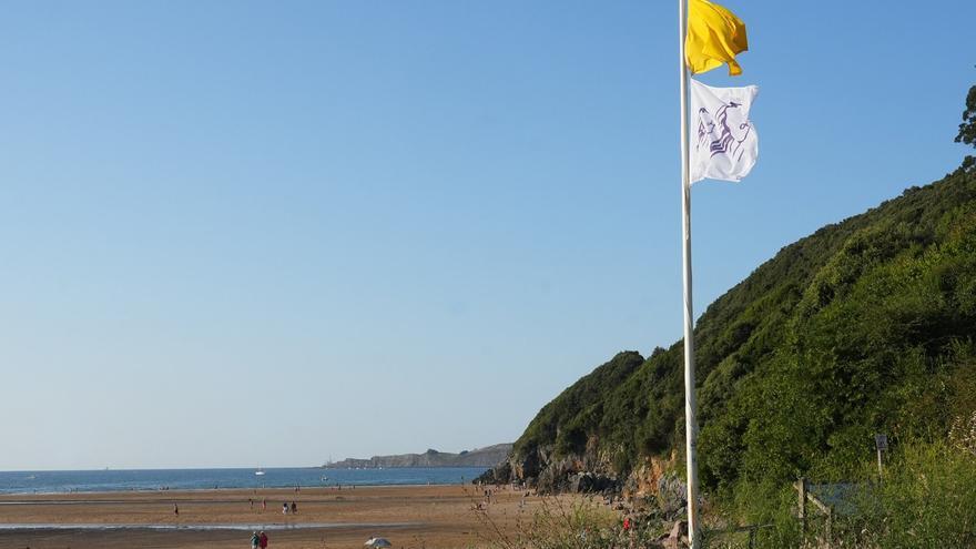 Las picaduras de medusa se duplican en Bizkaia
