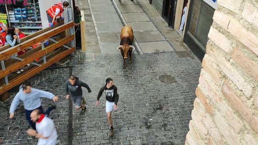 Baja participación en fiestas de Estella en unos encierros que reabren el debate sobre vaquillas y novillos