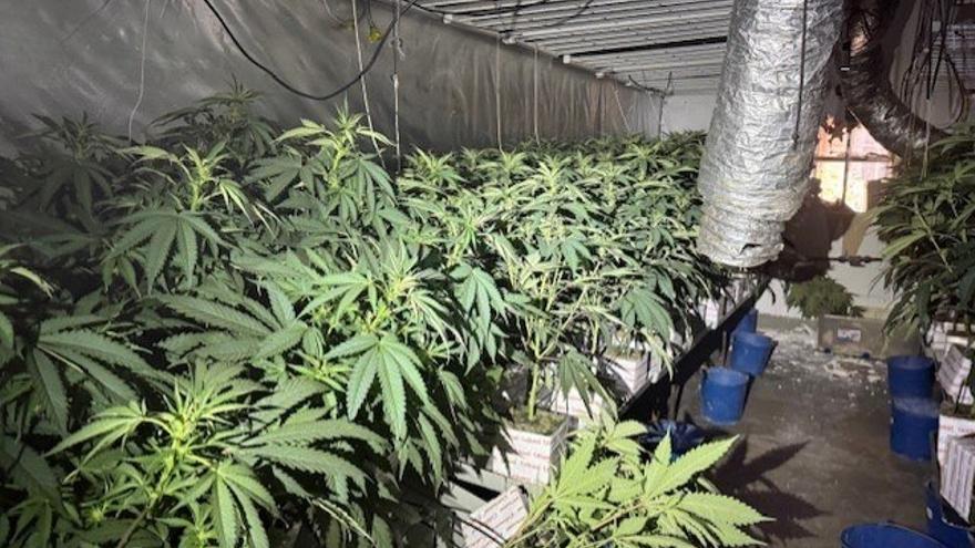 Dos incendios en domicilios del distrito de Sant Martí de Barcelona destapan cultivos de marihuana