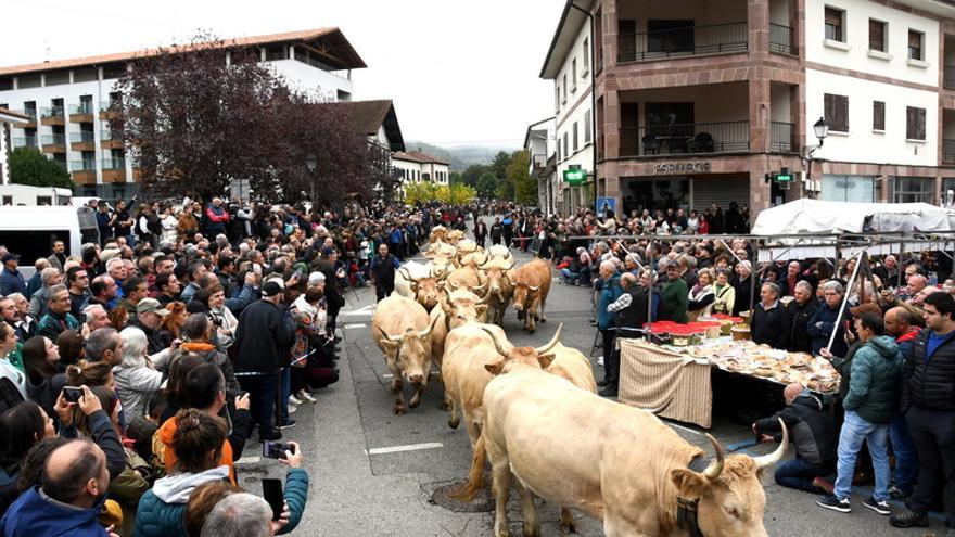 Elizondo celebra una feria de otoño de verdad