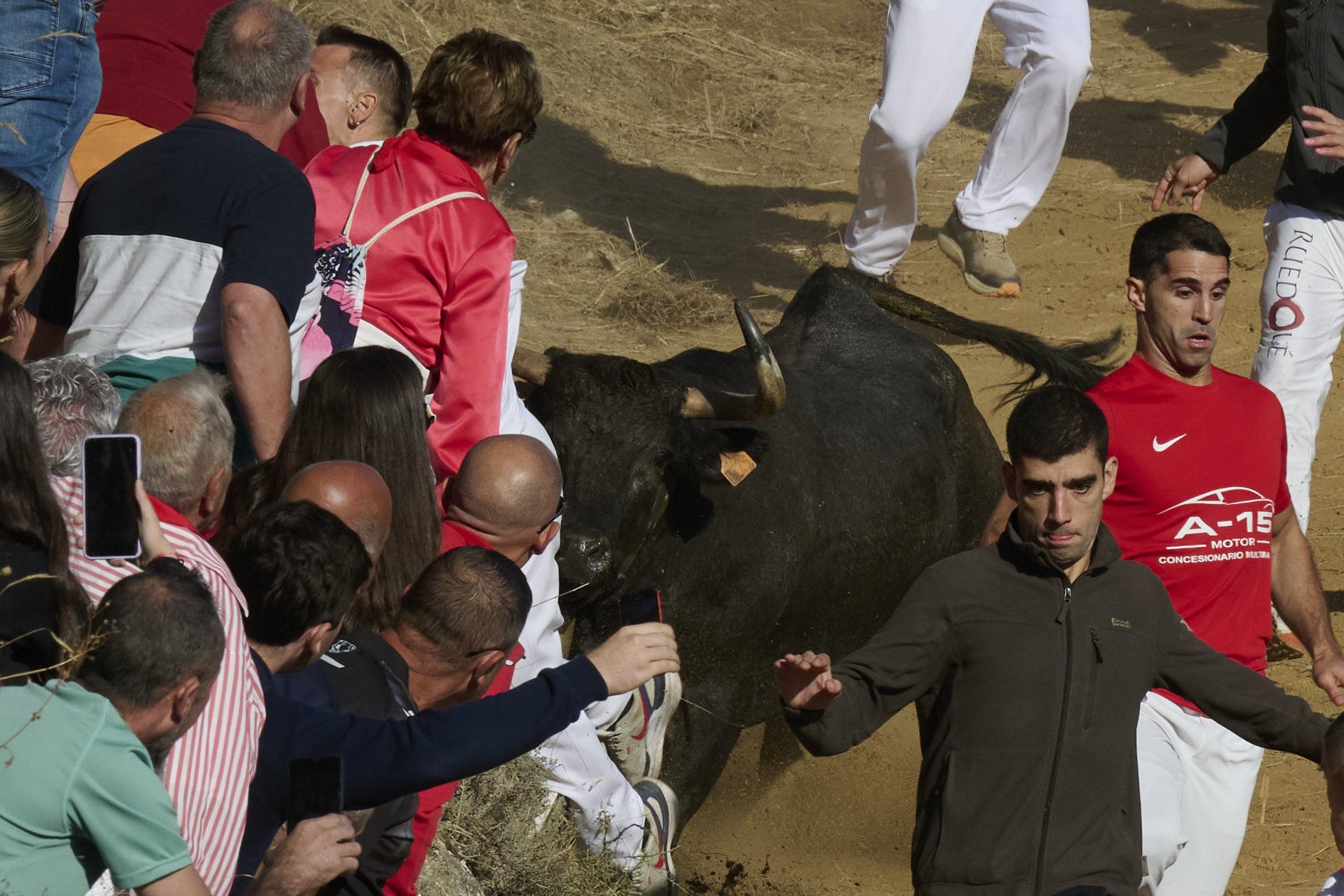 Fotos del penúltimo encierro del Pilón de Falces 2025
