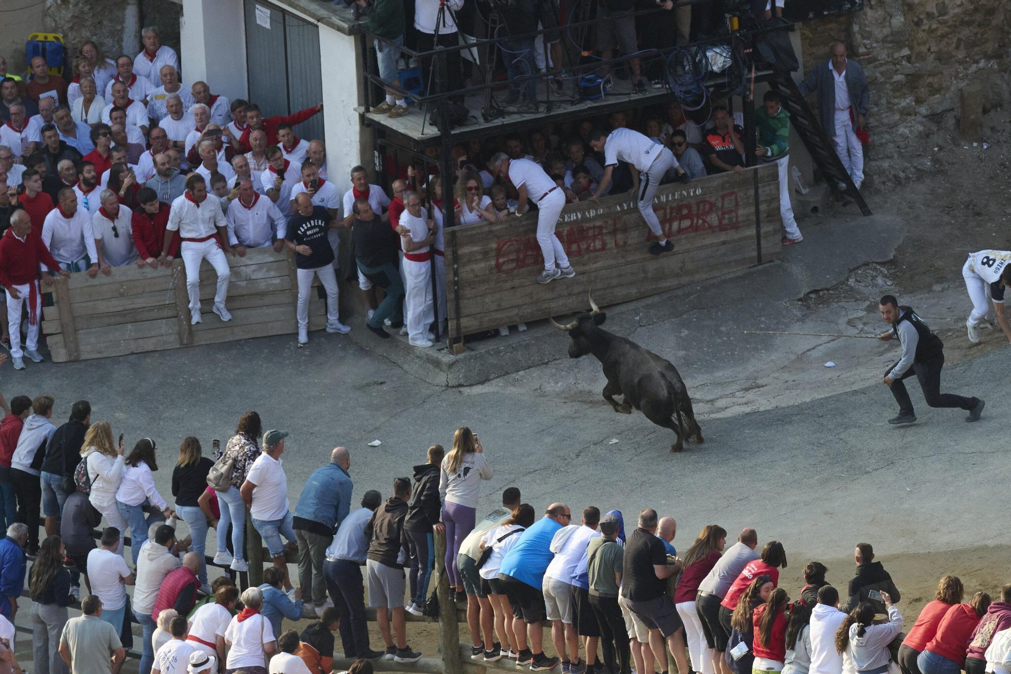 Fotos del último encierro del Pilón de Falces 2025