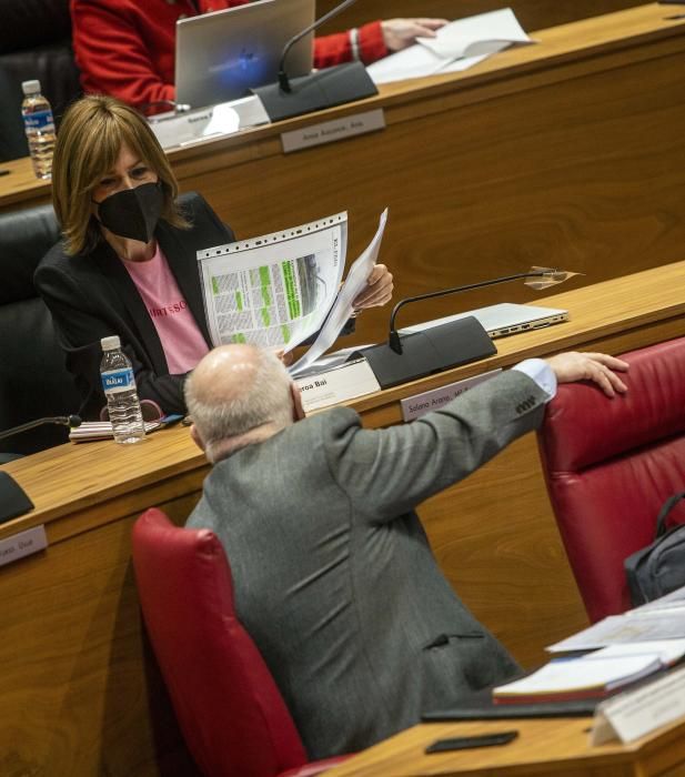 Imágenes del Parlamento de Navarra del pleno de este jueves 25 de marzo