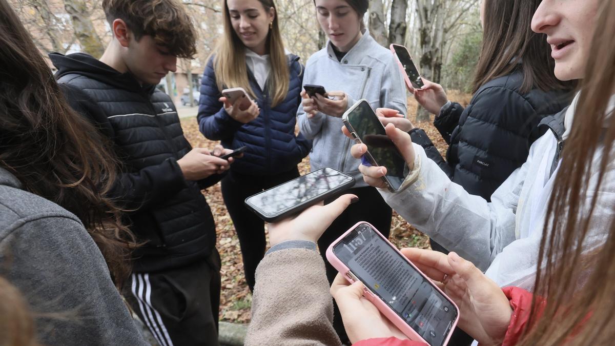 Varios jóvenes comprueban en sus móviles la recepción del mensaje de alerta