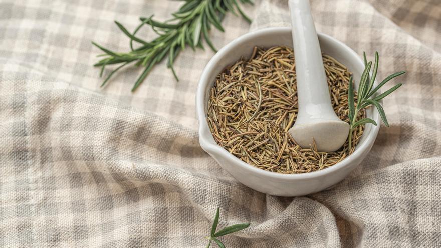 Los increíbles beneficios de tener romero en el dormitorio: mejora tu salud y estado de ánimo