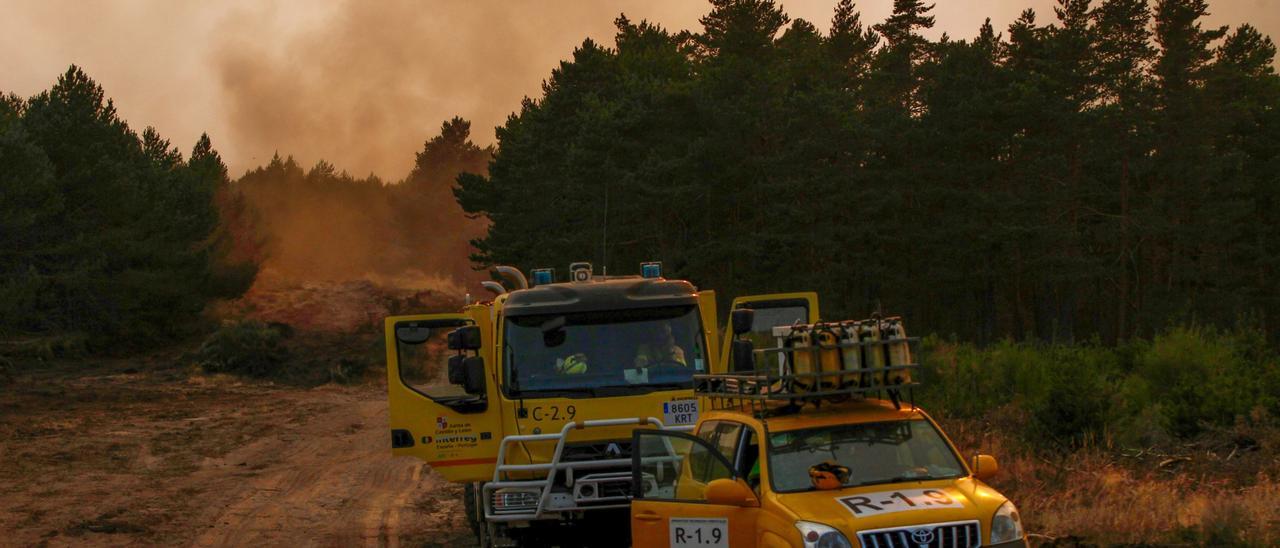 Incendios forestales y olas de calor