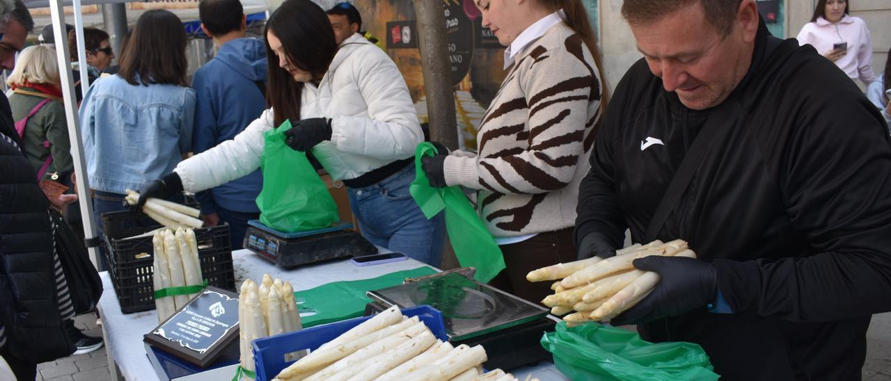 Fotos del Dia del Esparrago en Mendavia 2026