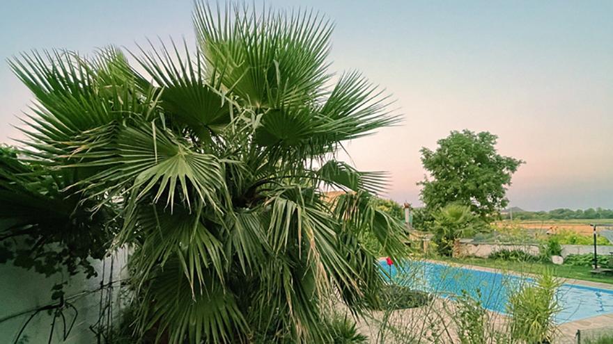 Qué hacer y qué ver en Navarra y en Pamplona. Agenda cultural