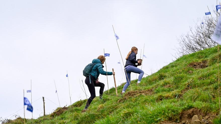 Basotik y la Real Sociedad, de la mano en el cuidado de los bosques de Gipuzkoa