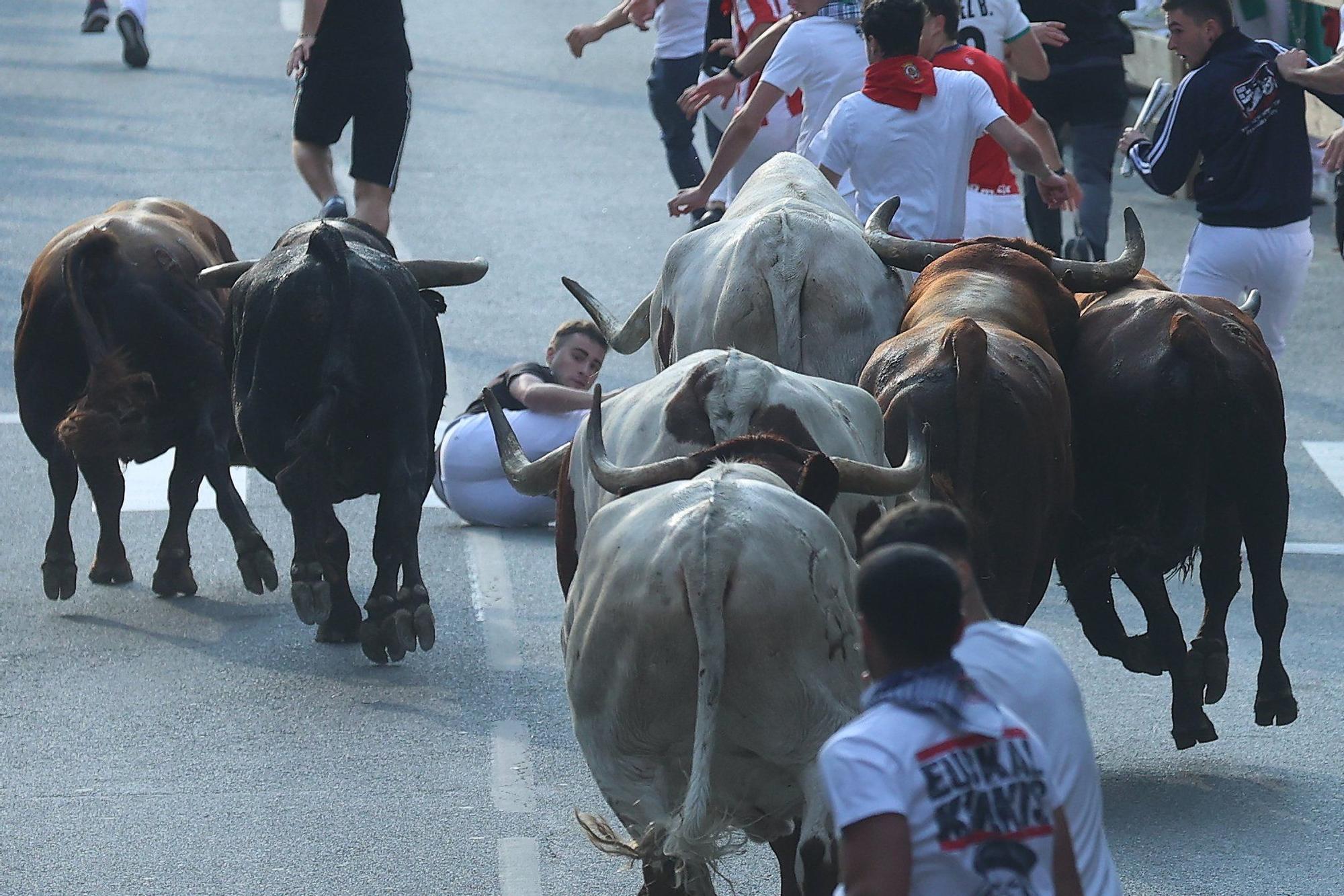 Fotos del quinto encierro de las fiestas de Tafalla 2025