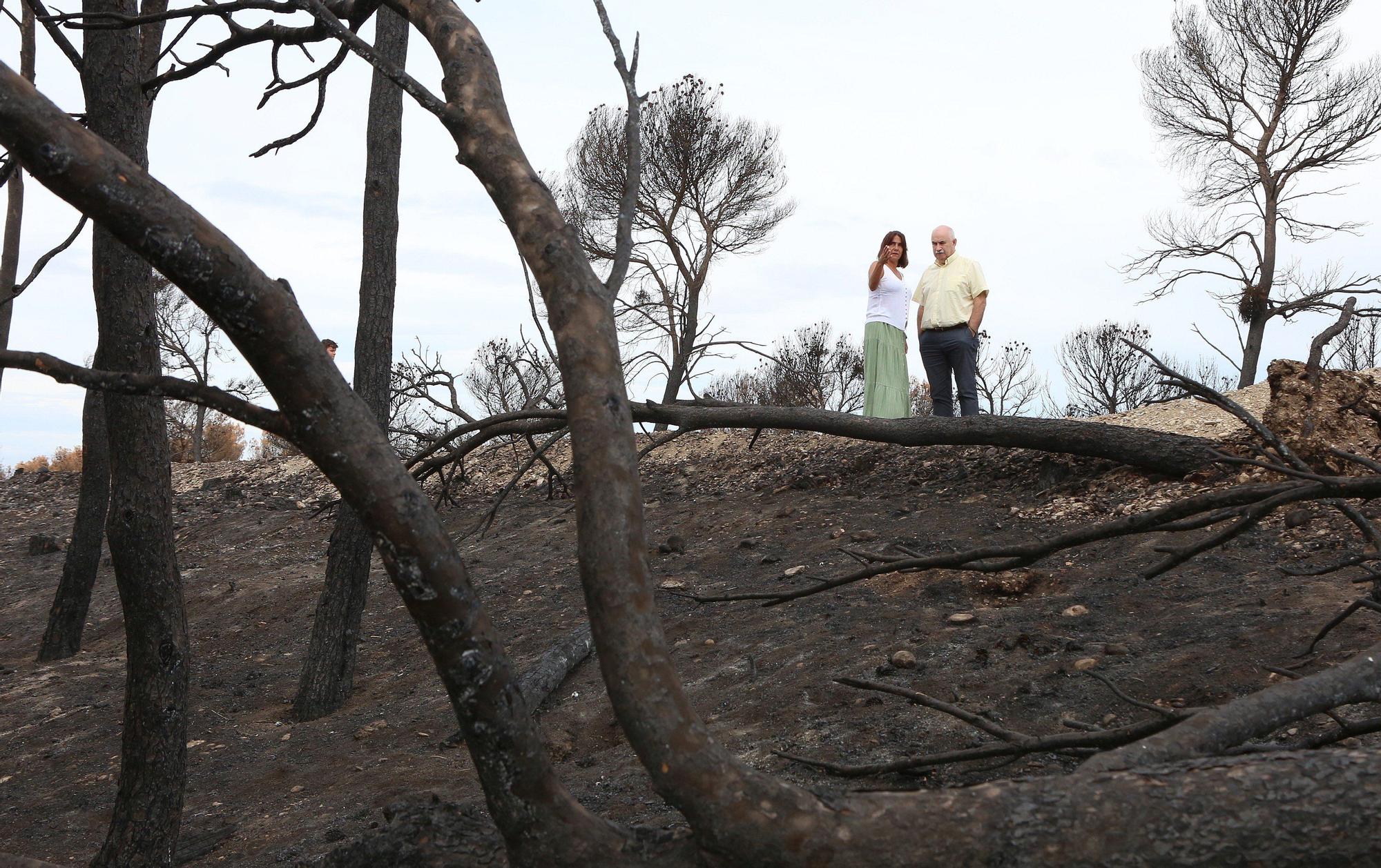 Así han quedado los montes afectados por el incendio de Carcastillo