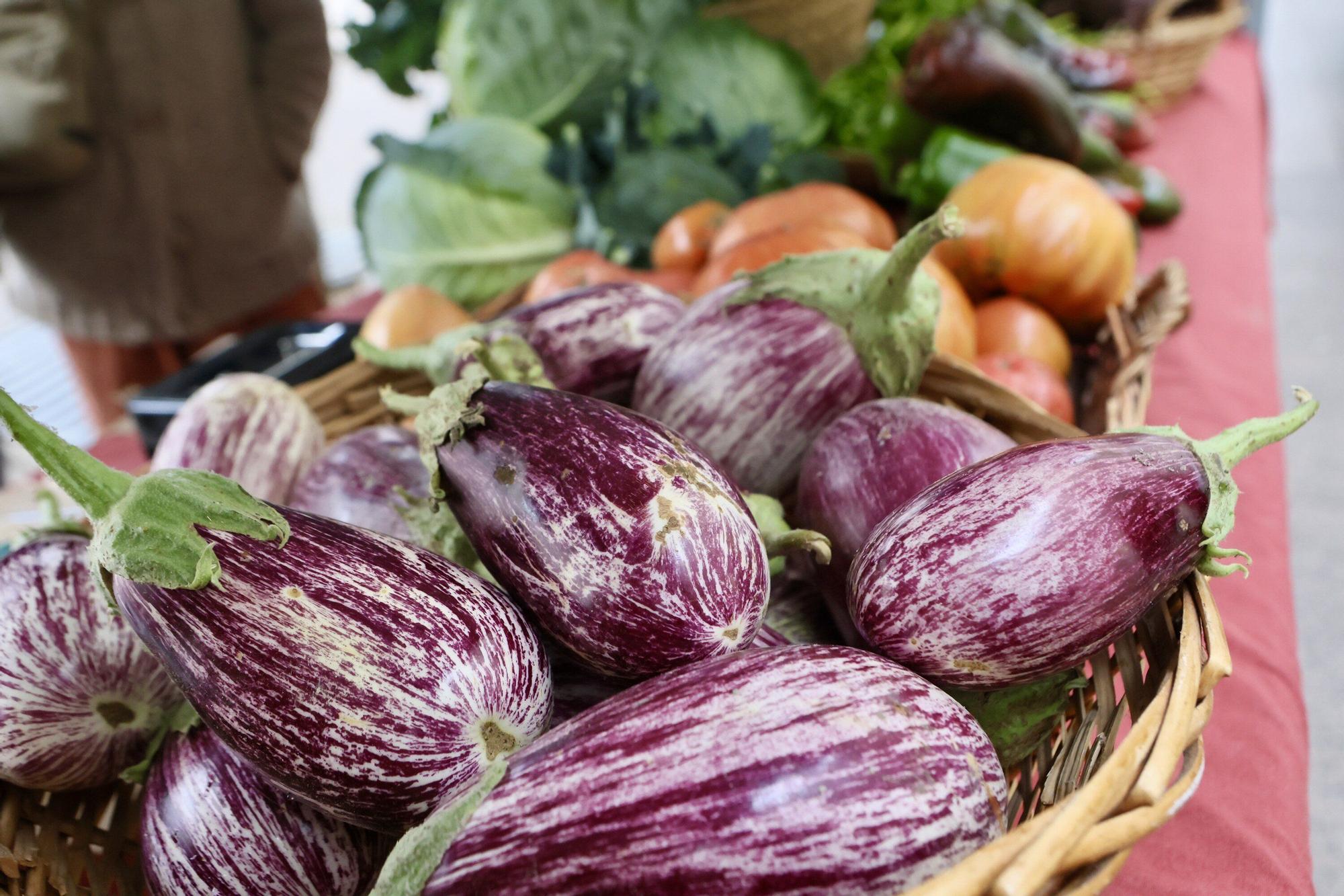 Bionekaraba: La agricultura ecológica brota en los Fueros
