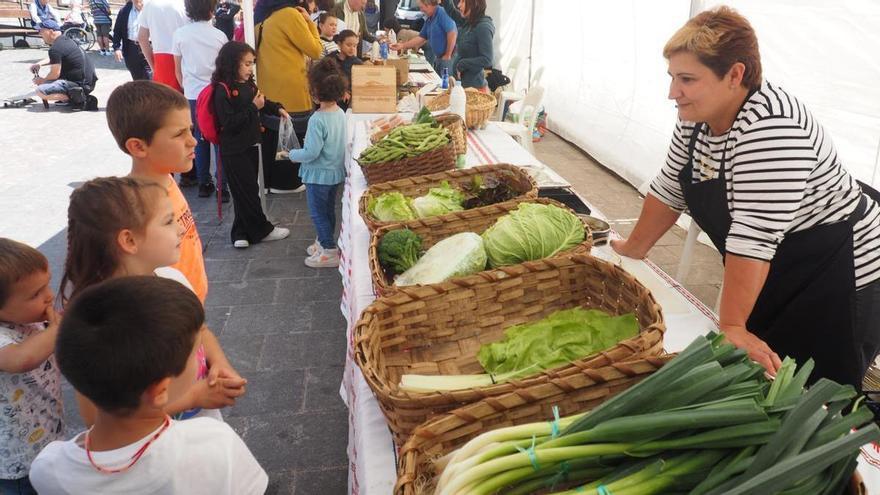 Nuevas ubicaciones para la OMIC, los puestos de los baserritarras y del Comercio Justo y la feria de final de mes de Elgoibar