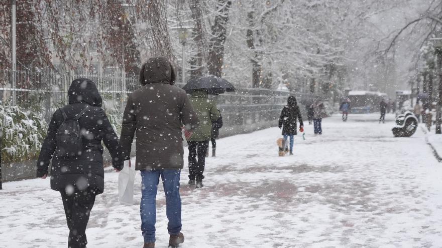 La primera nevada del año cubre Álava aunque sin trastocarla por ser festivo