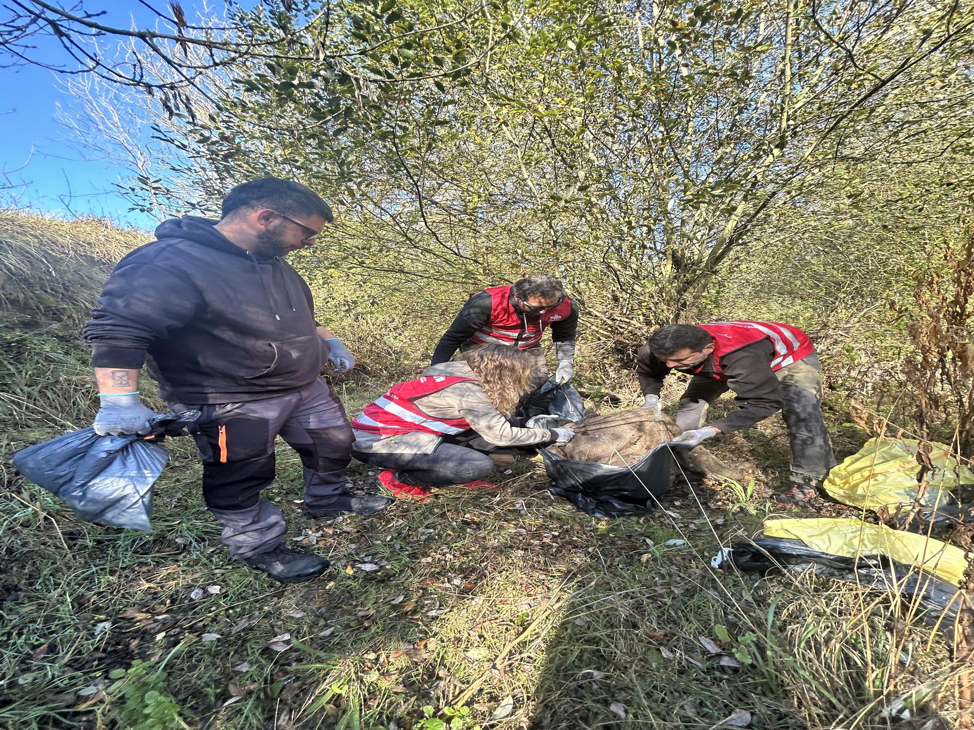 LIMPIEZA ZADORRA JUNTO A COCA COLA