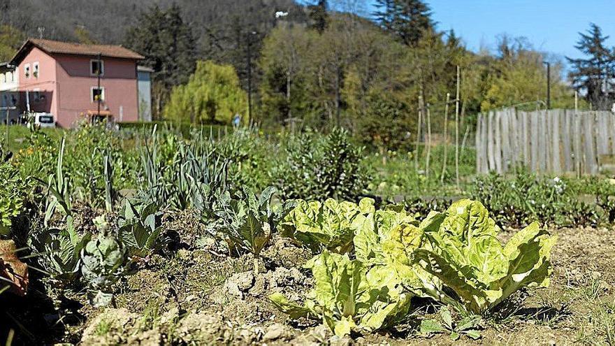 A la caza de las huertas de Ordizia
