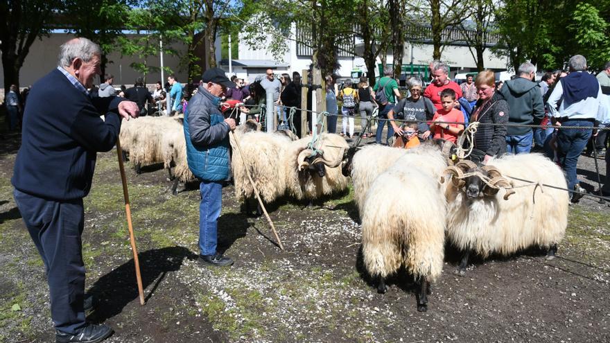 Feria de Primavera el viernes en Elizondo