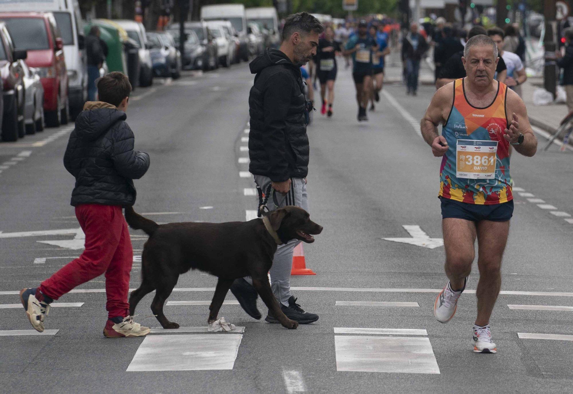 Las mejores imágenes de la Maratón Martín Fiz (¡Búscate en las fotos!)