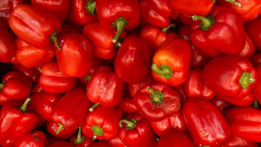 Pimiento de Fresno-Benavente, el otro gran asado de la Meseta