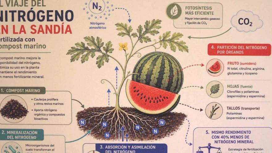 Talleres gratuitos en Pamplona para aprender a detectar el nitrógeno en plantas y cultivos