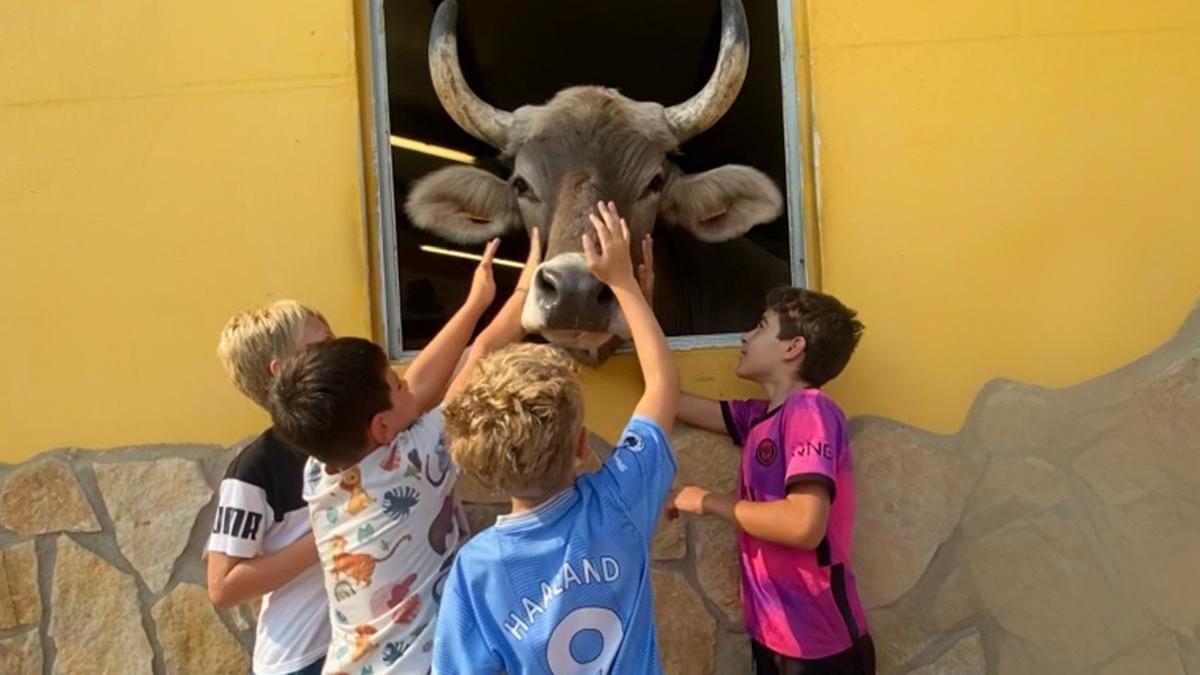 El centro de rescate navarro, Basabere, en Lezaun.