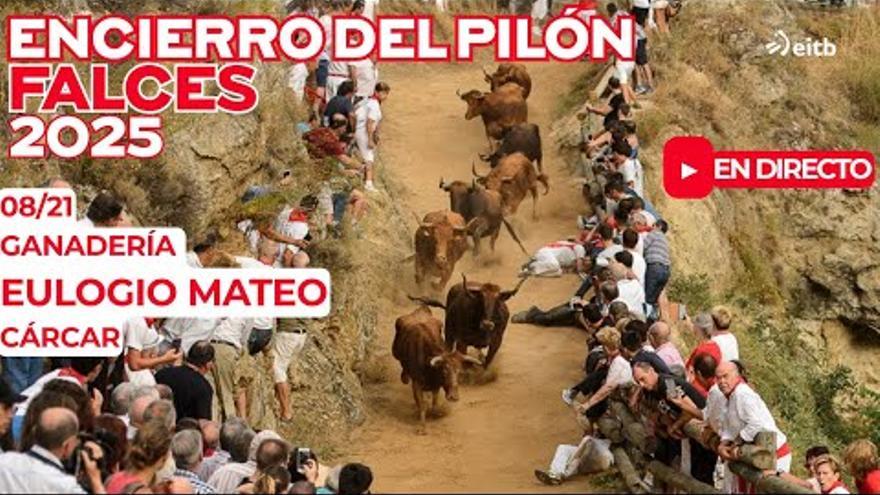 El encierro del Pilón de Falces, en directo, con vacas de Eulogio Mateo